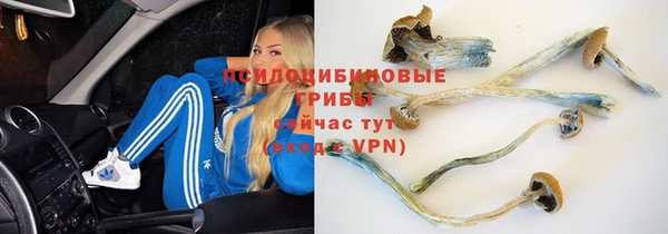 круглые Абдулино